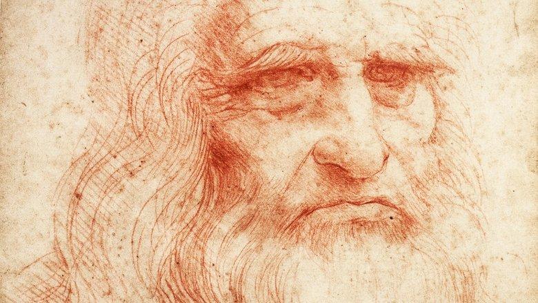 Leonardo Cinquecento image
