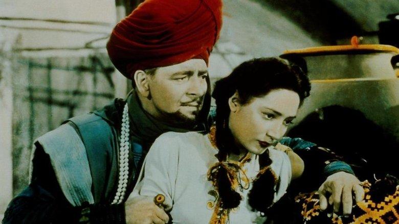 Kismet image