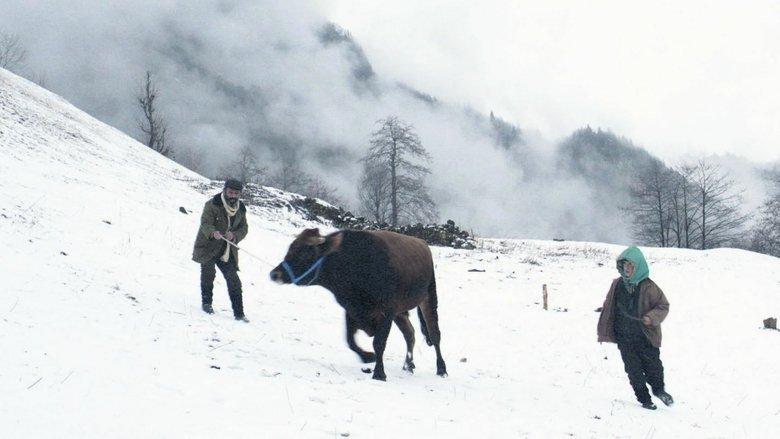 Cold of Kalandar image