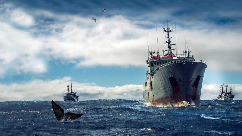 Ocean Warriors image