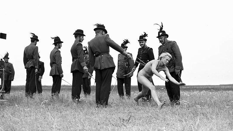 The Round-Up image