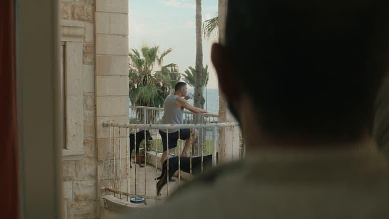 Mediterranean Fever image