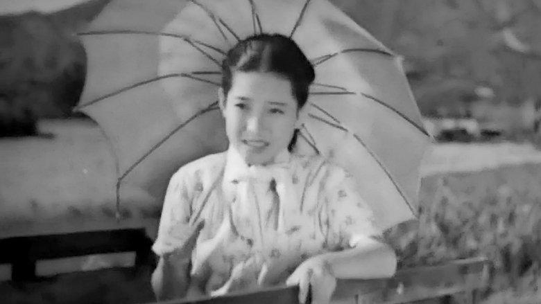 Conduct Report on Professor Ishinaka image