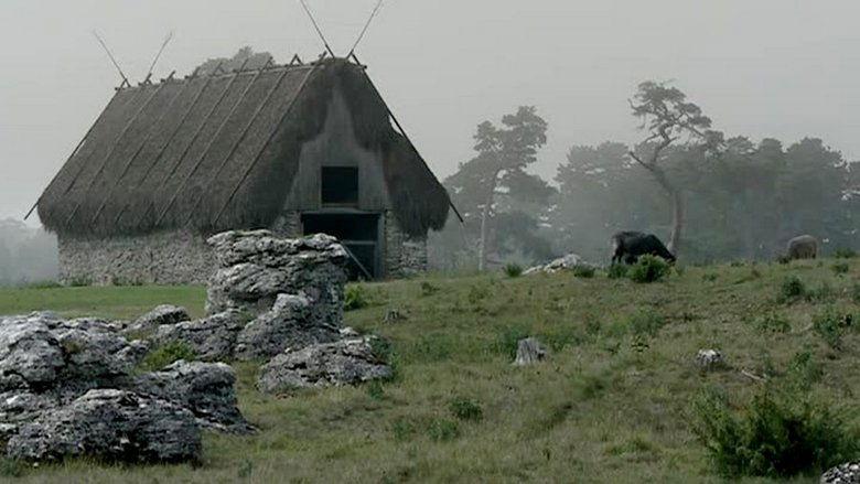 Bergman Island image
