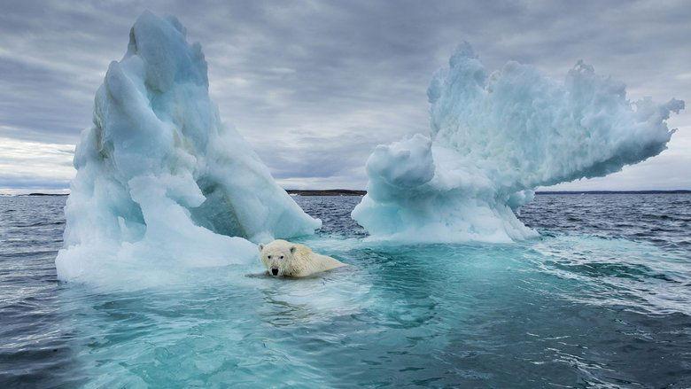 After the Warming image