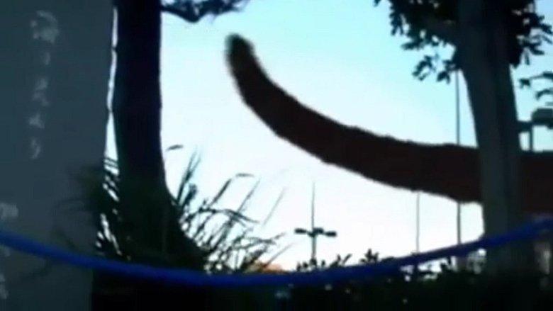 Monster image