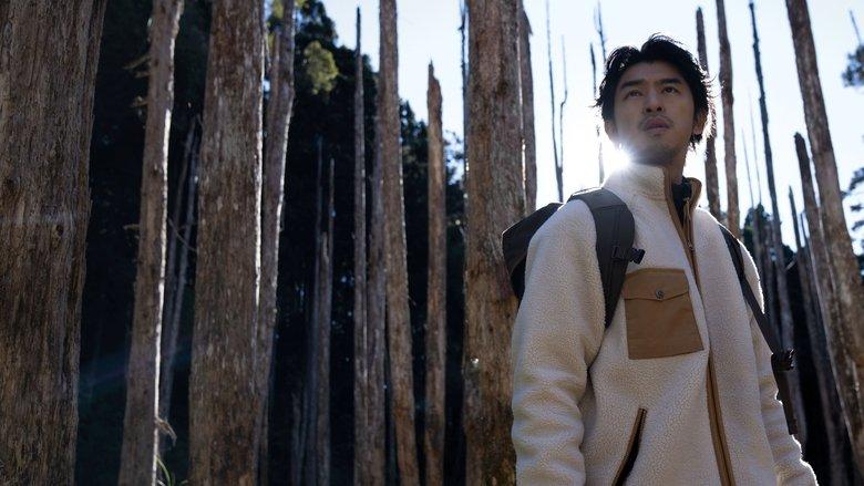 Extreme Forest image