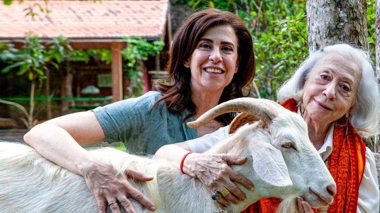 Gilda, Lúcia and The Goat image