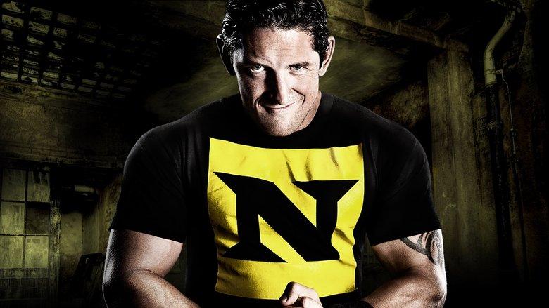 WWE Survivor Series 2010 image