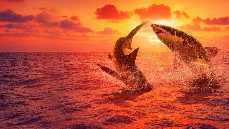 Great White Fight Club image