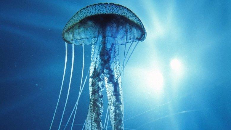 Into the Deep image
