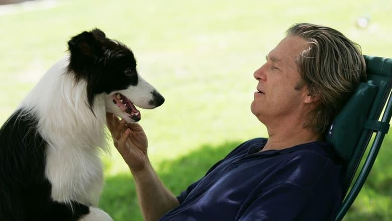 A Dog Year image