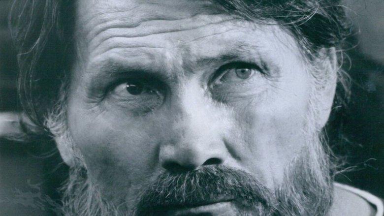 The Hatfields and the McCoys image