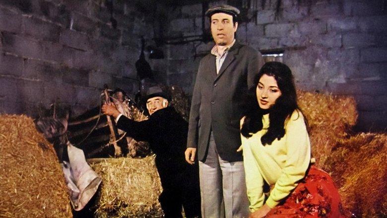 Tokatçı image