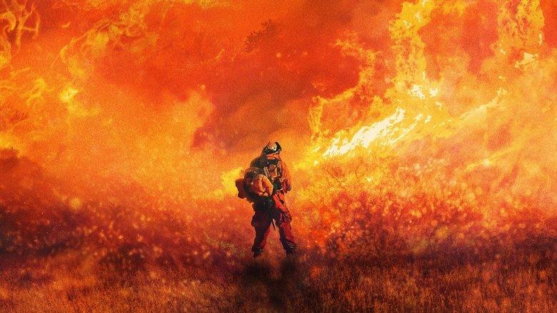 Cal Fire image