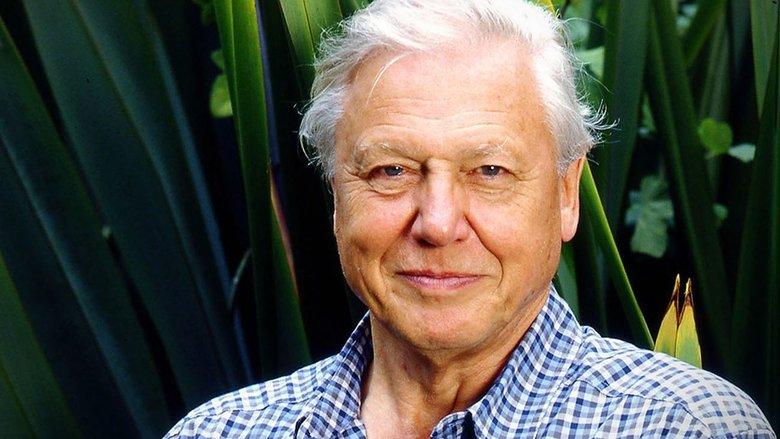 Gorillas Revisited with Sir David Attenborough image