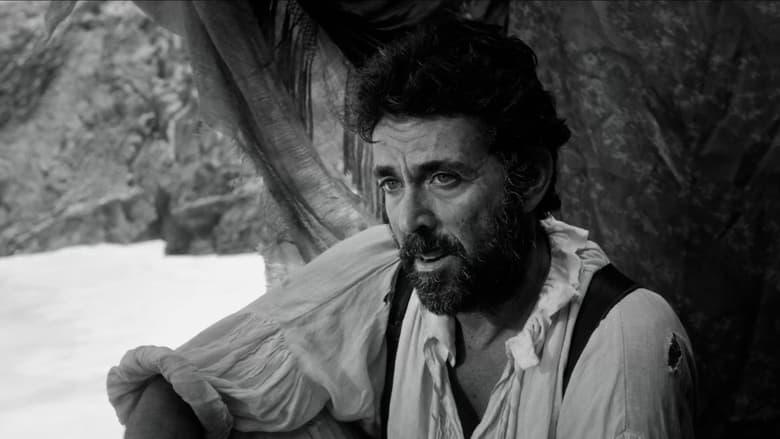 The Survivors image