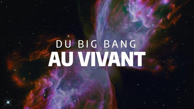 Du Big Bang au vivant image