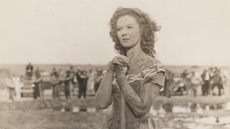 Tulsa image