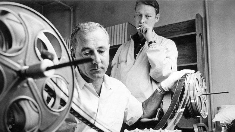 Becoming Mike Nichols image