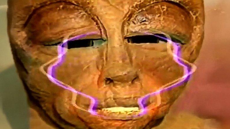 Homoti image