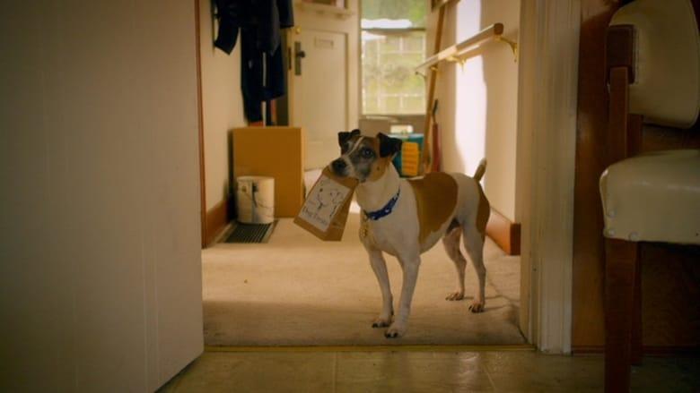 Treasure Hounds image