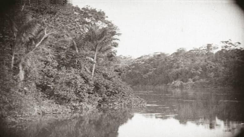 Amazon: Longest River in the World image
