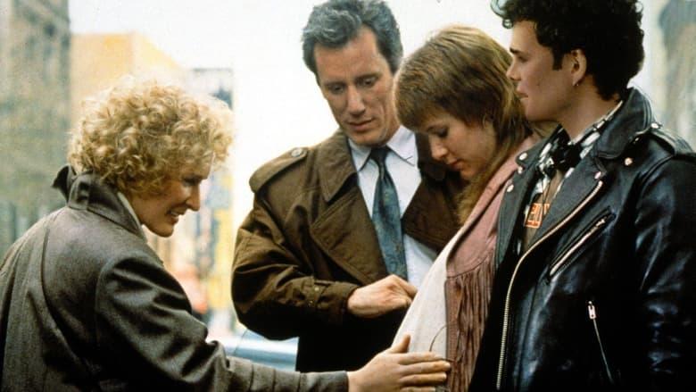 Immediate Family image