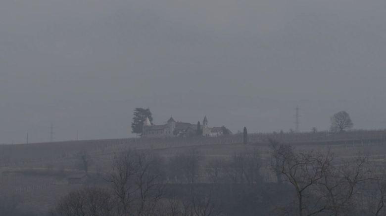 CrimeTube SouthTyrol image