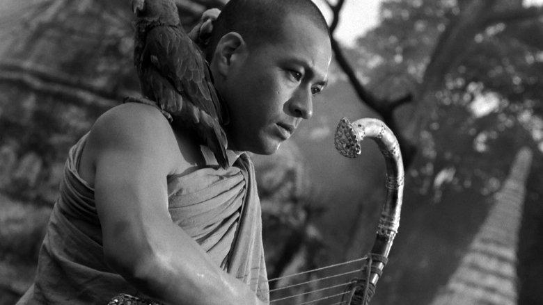 The Burmese Harp image