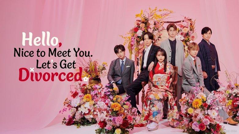 Hello. Nice to Meet You, Let's Divorce image