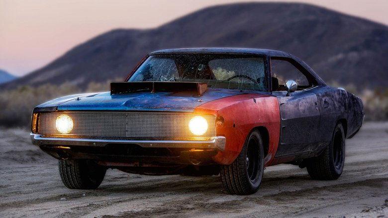 Roadkill image