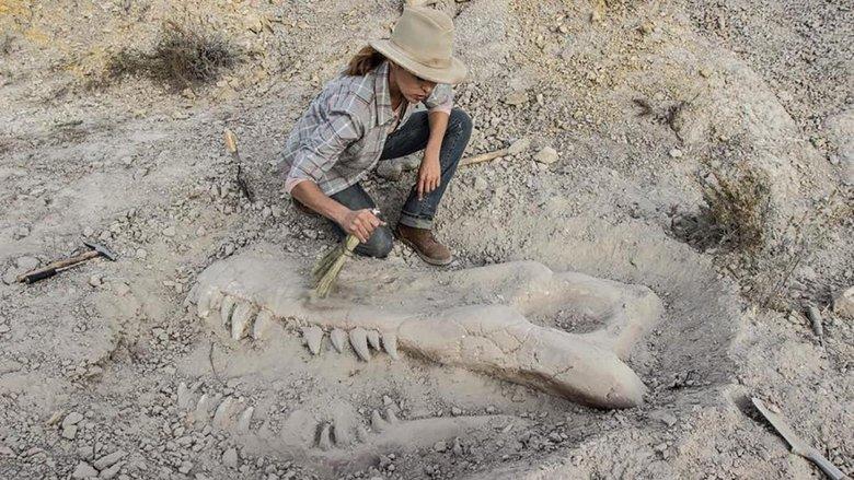Valley of Bones image