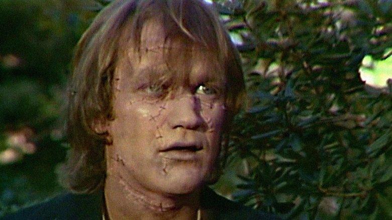 Frankenstein image