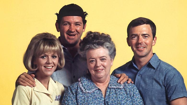 Mayberry R.F.D. image