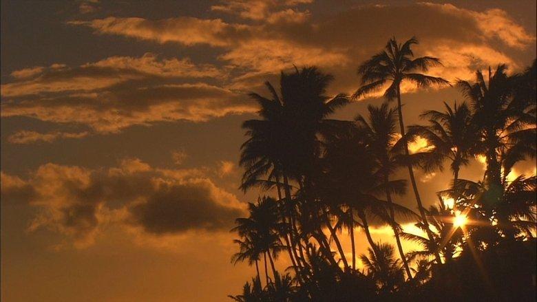 Living Landscapes: World's Most Beautiful Sunrises and Sunsets image