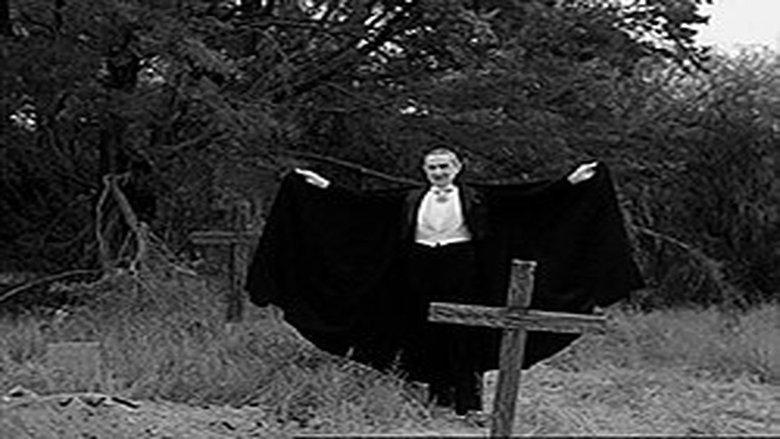 Plan 9 image