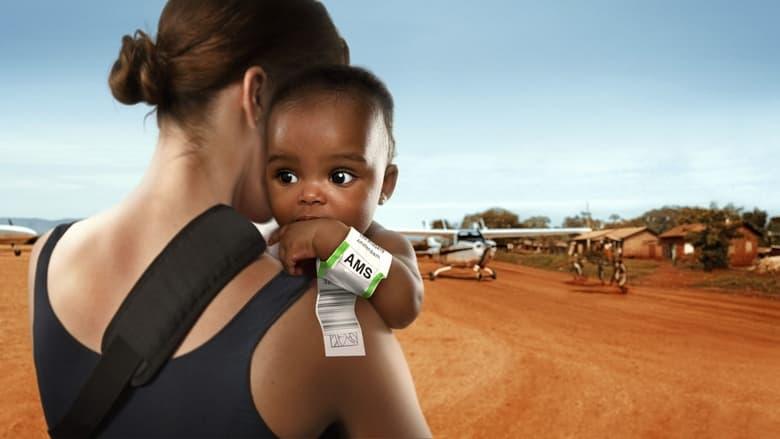 Exportbaby image