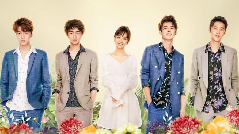 Meteor Garden image