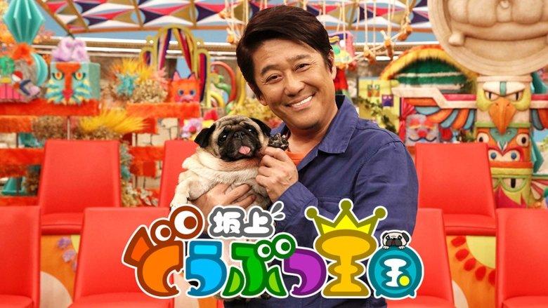 Sakagami Animal Kingdom image