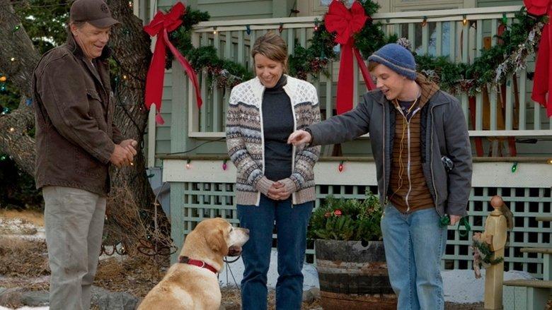A Dog Named Christmas image