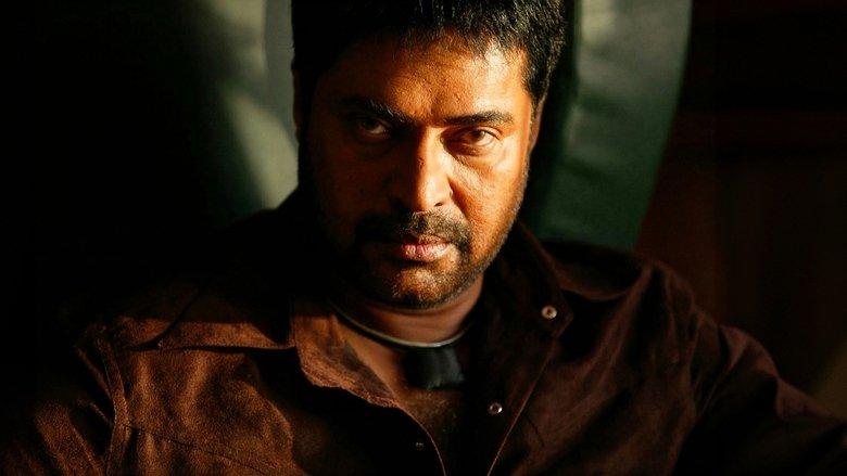 Big B image