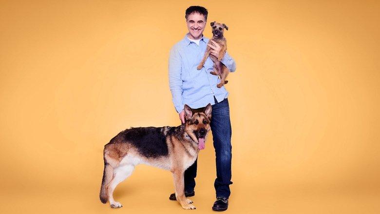 The Supervet: Noel Fitzpatrick image