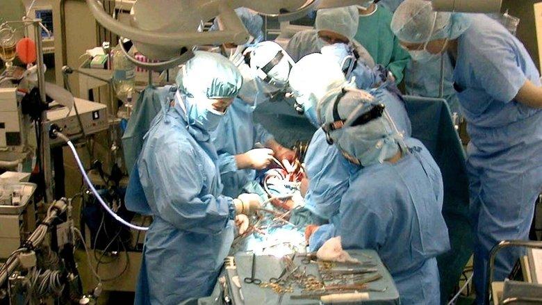 Der Streit um den Hirntod – Organspende auf dem Prüfstand image