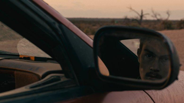 Roadkill image