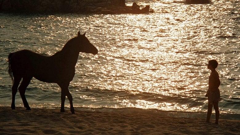 The Black Stallion image