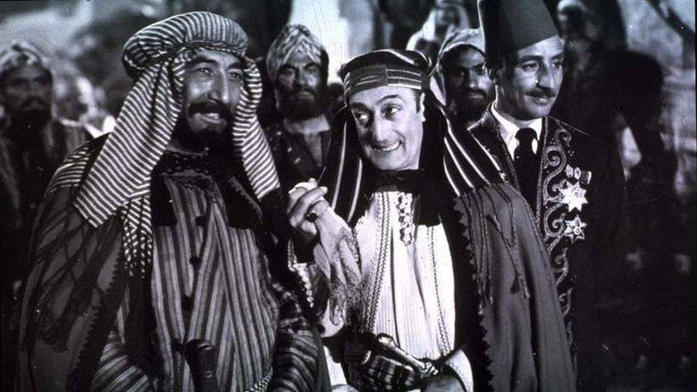 Toto the Sheik image