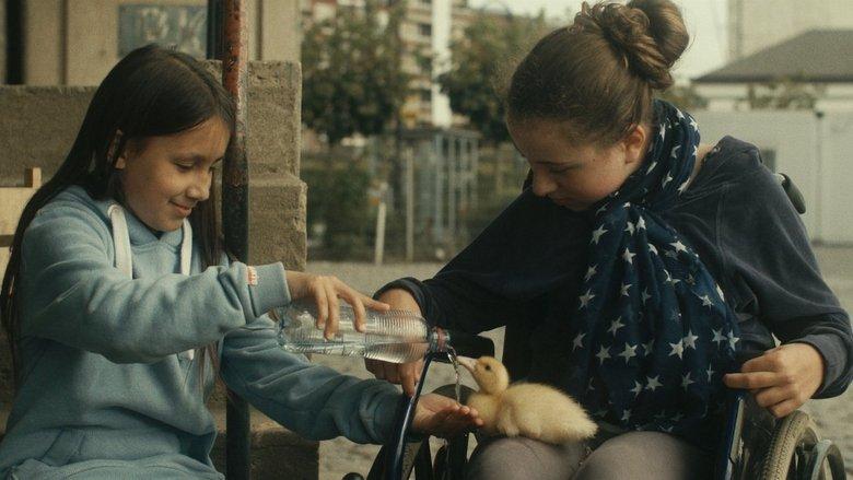 Birds of Passage image