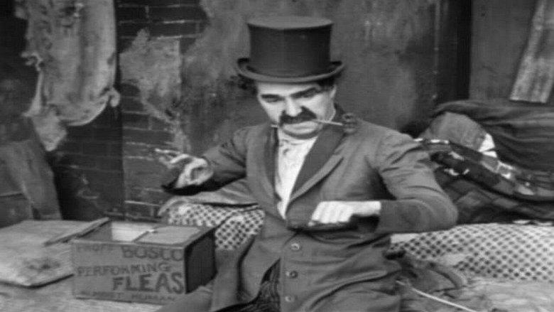 The Professor image