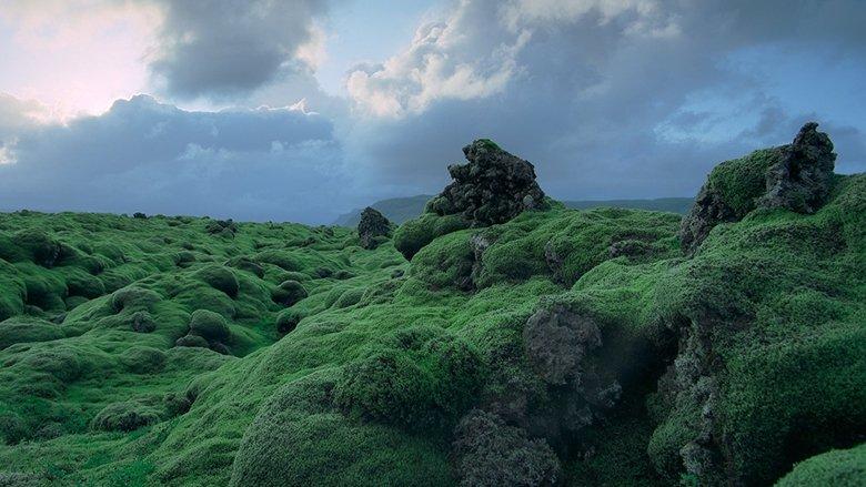 Voyage of Time: The IMAX Experience image
